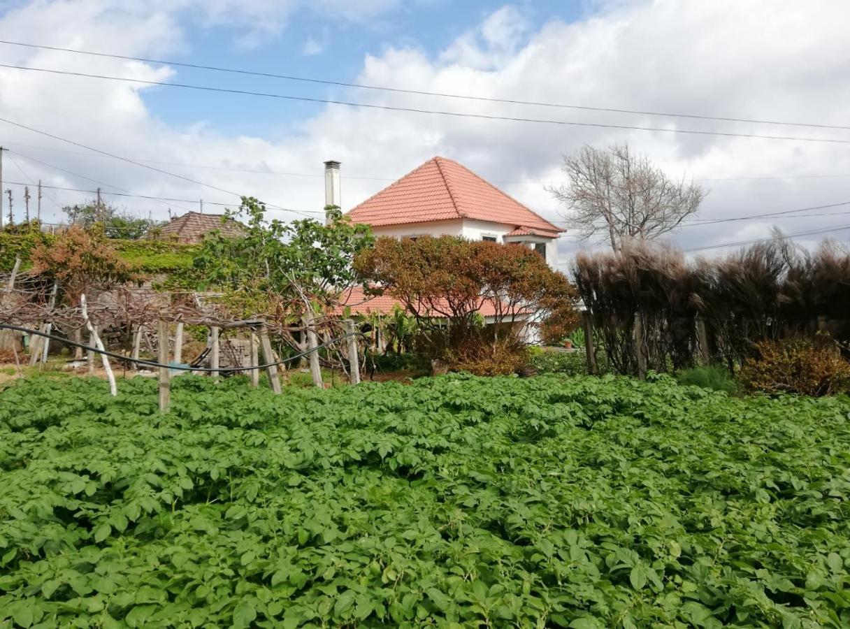 Avo Lucindinha House - Porto Moniz Villa Buitenkant foto