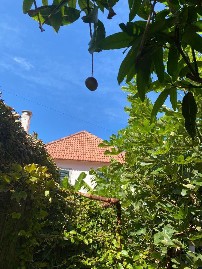 Avo Lucindinha House - Porto Moniz Villa Buitenkant foto